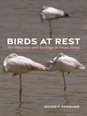 cover image of Birds at Rest